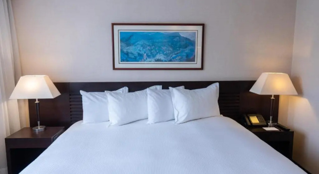 Номер Deluxe Eurobuilding Hotel & Suites Caracas