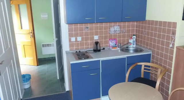 Habitación doble Estándar Penzion Netolice