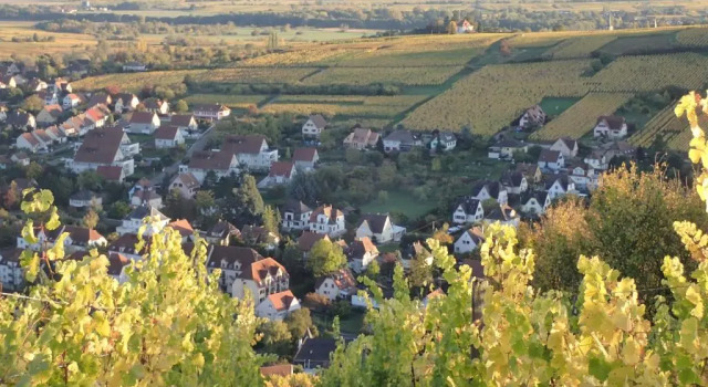 Апартаменты Villa/Appartement au coeur des vignes ***