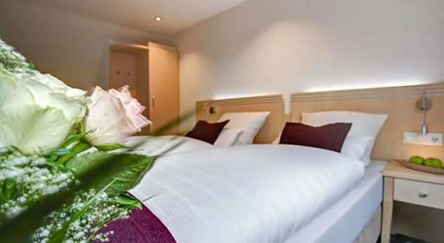 Номер Standard Rhein Neckar Hotel Mannheim 24h Check-in
