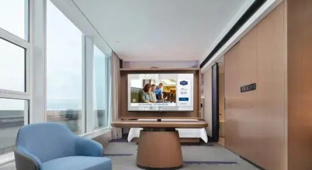 Двухместный люкс Hampton by Hilton Wuhan Jingkai
