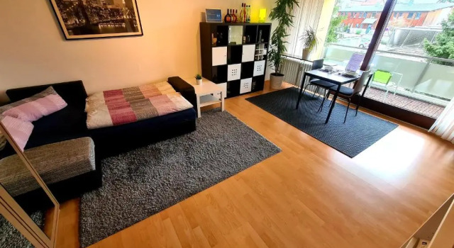 Апартаменты Studio Apartment Terrassengarten - Bad Kissingen