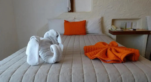 Двухместный номер Standard Hotel Palapa Palace