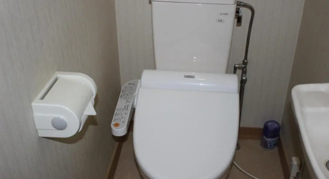 Двухместный номер Standard Ryokan Tanaka