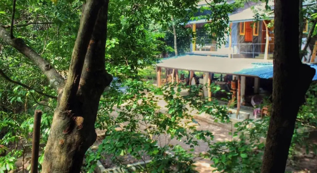 Book Jungle