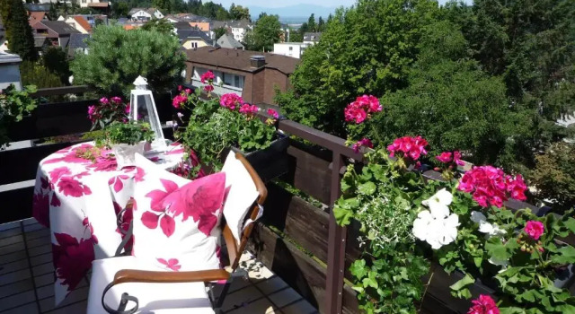 Одноместный номер Standard с балконом Hotel Behringers Traube