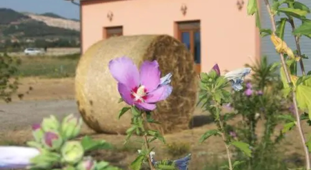 Agriturismo La Nocciolina