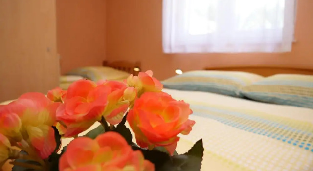 Апартаменты Apartments Tina Toni