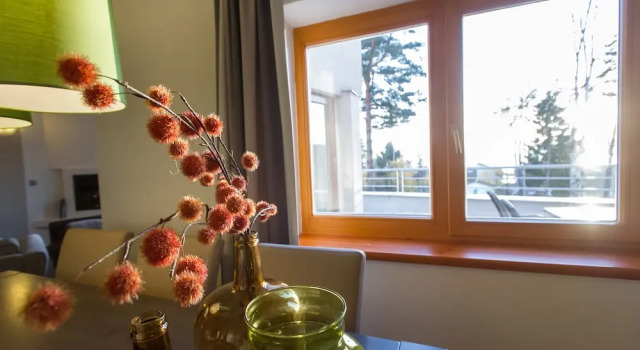 Апартаменты Premium с балконом Lipno Lake Resort