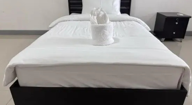 Standardní Jednolůžkový pokoj Savan Itecc Hotel