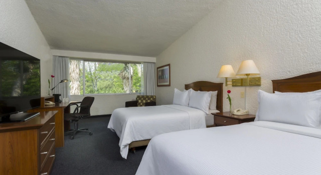 Superior Quadruple room Gamma Pachuca