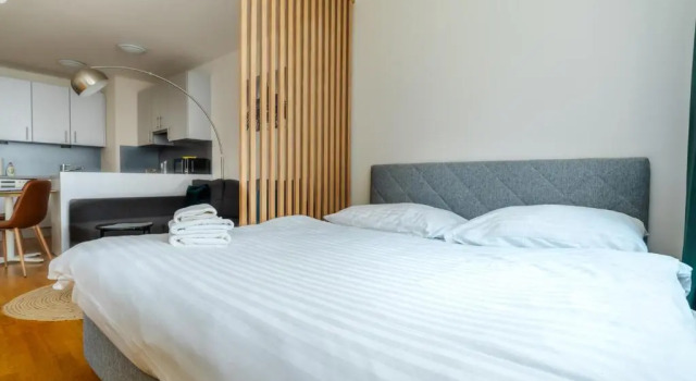 Студия Deluxe Ambiente Serviced Apartments - Centre