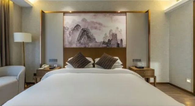 Двухместный люкс Business Vienna International Hotel(Wuhan Mengjiapu Stor)
