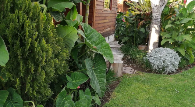 Номер Deluxe Cabañas la finca 2