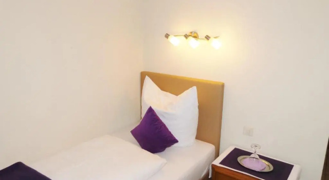 Одноместный номер Standard Hotel Rath