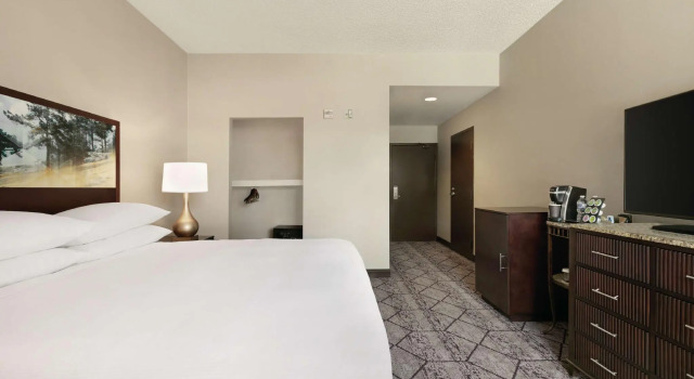 Двухместный номер DoubleTree by Hilton Atlanta Northeast/Northlake
