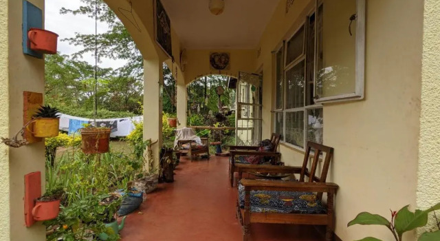 Cama en dormitorio compartido Backyard Hostel