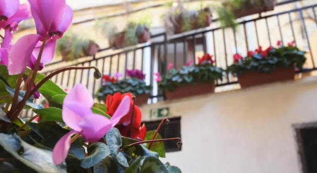 Апартаменты Scalia House appartamento via Atenea Agrigento