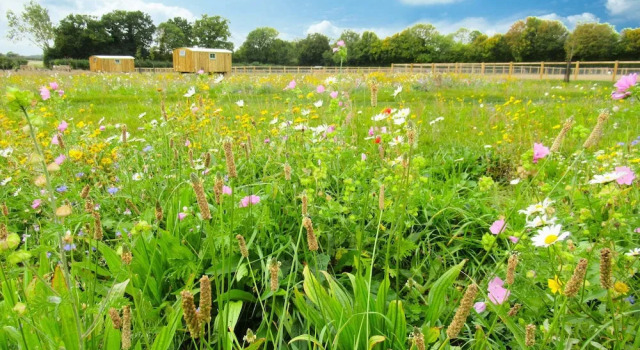 Honeysuckle Farm Hut 1 - Suffolk Farm Holidays, Забронировать Фермерский дом Фермерские дома Англии, Фермерский дом