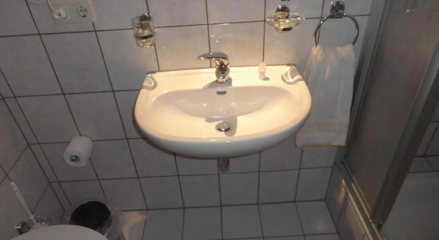 Одноместный номер Standard Hotel Haarener Hof