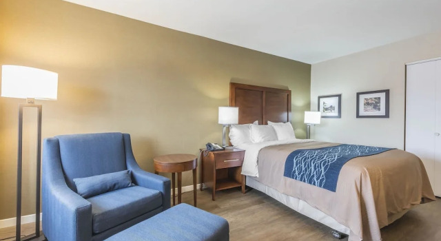 Номер Standard Comfort Inn