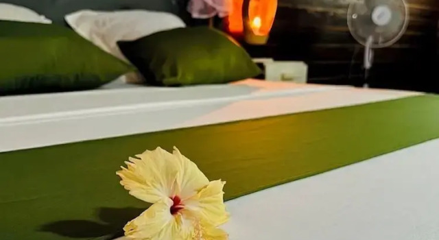 Двухместное бунгало Standard с балконом Bungalows des tropiques