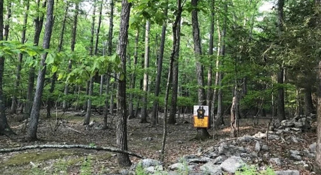 Tentrr - Little Bear, Đặt Căn hộ Tannersville Hunter Mountain