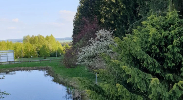 Номер Comfort Berghotel Drei Brüder Höhe
