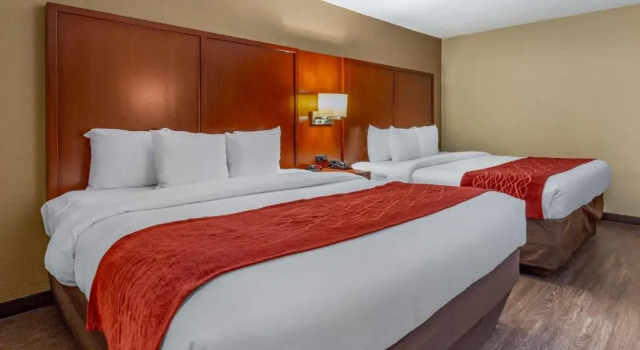 Четырёхместный номер Standard Comfort Inn Fort Mill Amusement Park at Carowinds Blvd