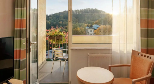 Одноместный номер Spa Resort Sanssouci