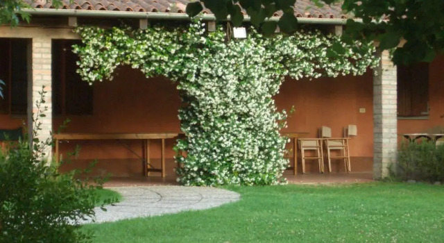 Двухместный номер Standard Agriturismo La Lupa