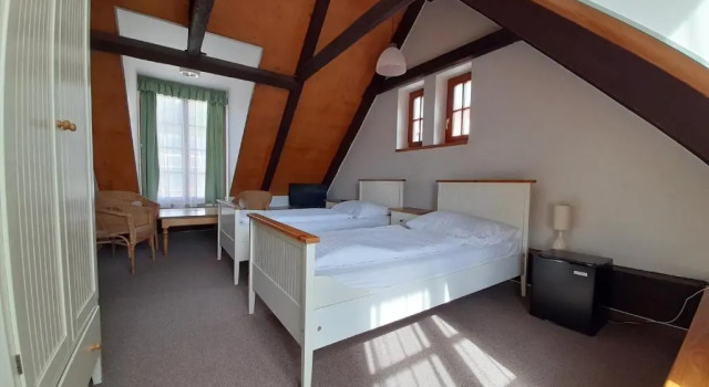 Номер Superior Wellness Hotel Zámeček