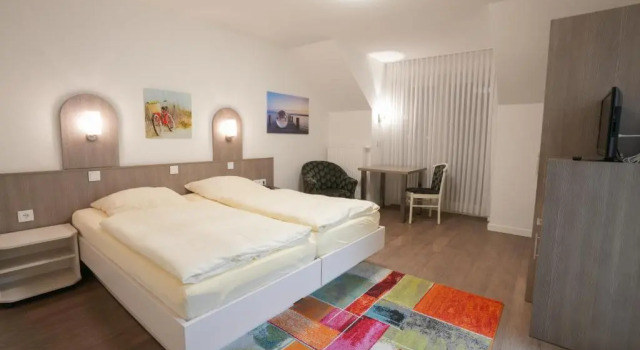 Двухместный номер Standard Hotel Lingemann