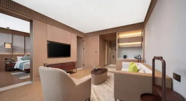 Люкс Executive ANJI Greenland The QUBE hotel（BAMBOO EXPO PARK）