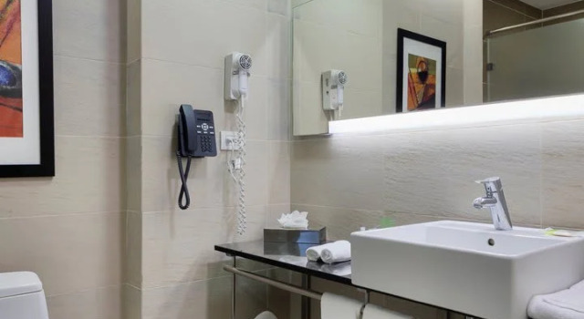 Номер Standard с красивым видом из окна Holiday Inn Santo Domingo by IHG
