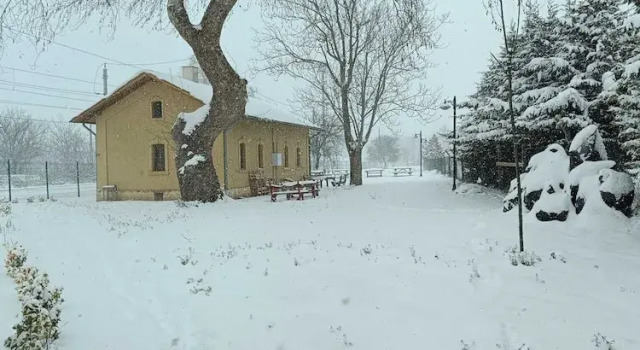 Семейный люкс doğa park istasyon