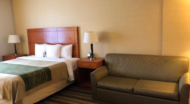 Номер Deluxe Comfort Inn Metro Airport