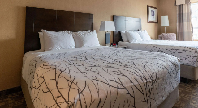 Четырёхместный номер Standard Best Western Plus South Edmonton Inn & Suites