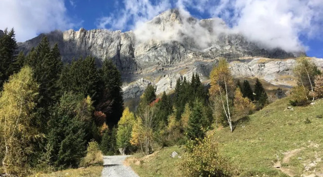 Апартаменты Fizhome Mt Blanc