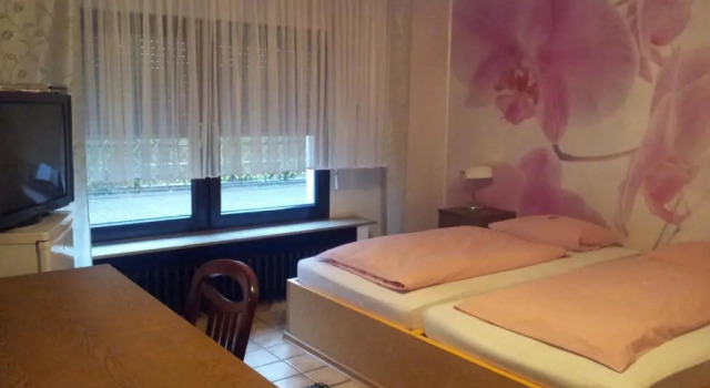 Двухместный номер Standard Am Hallenbad Hotel garni