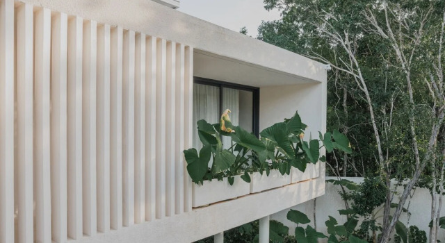 Casa Marfil By Lockey, Rezervasyon Otel Tulum havuzlu oteller, Yüzme Havuzu