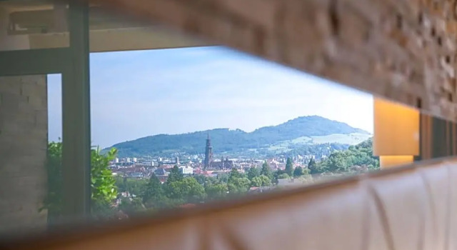 Номер Superior Mercure Hotel Panorama Freiburg