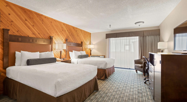 Четырёхместный номер Standard Best Western Plus Tree House