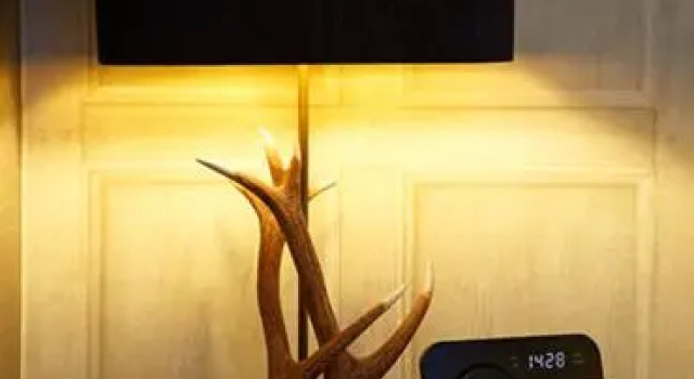 Номер Standard Forrester Park Resort