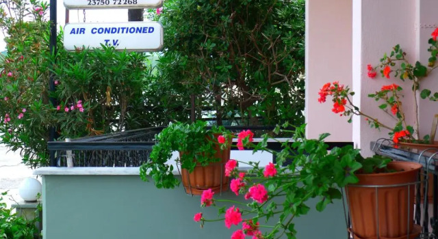 Полулюкс George & Sias House