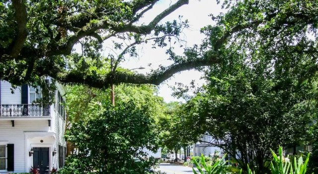 Апартаменты Premium The Irish Bar near Bay Historic Savannah