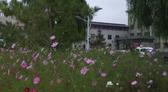 Yongchang Hotel, Book Hotel Jinchuan Gansu