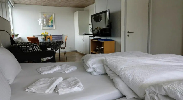 Люкс 2 Rooms, Private Kitchen, Bathroom, And Garden.