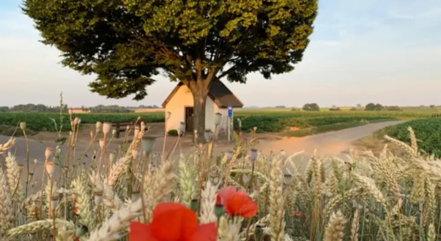 Коттедж Holiday Home in Vlijtingen With Garden