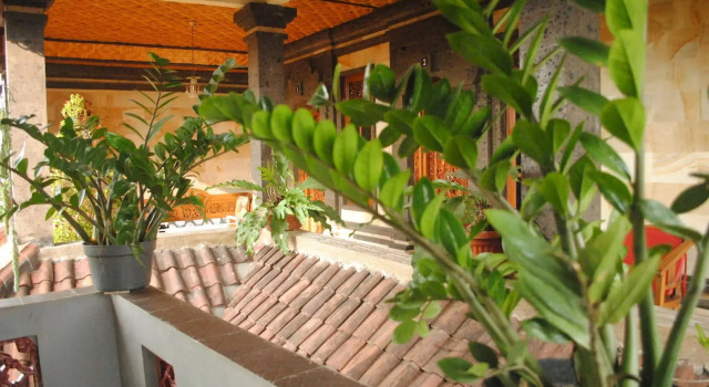 Jangkrik Homestay, Rezerwuj Hotel Hotele SPA w Bali, SPA